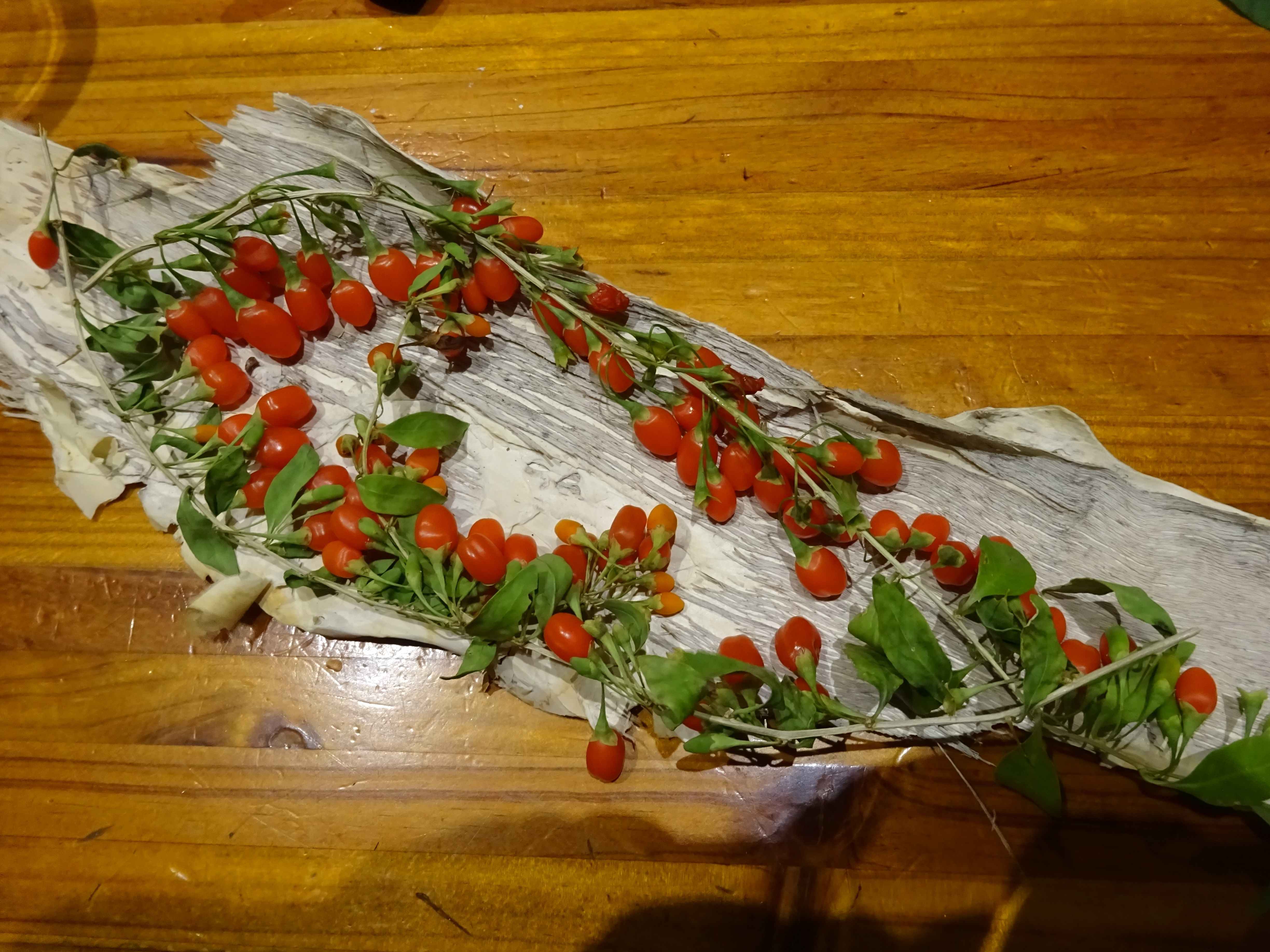 goji forage