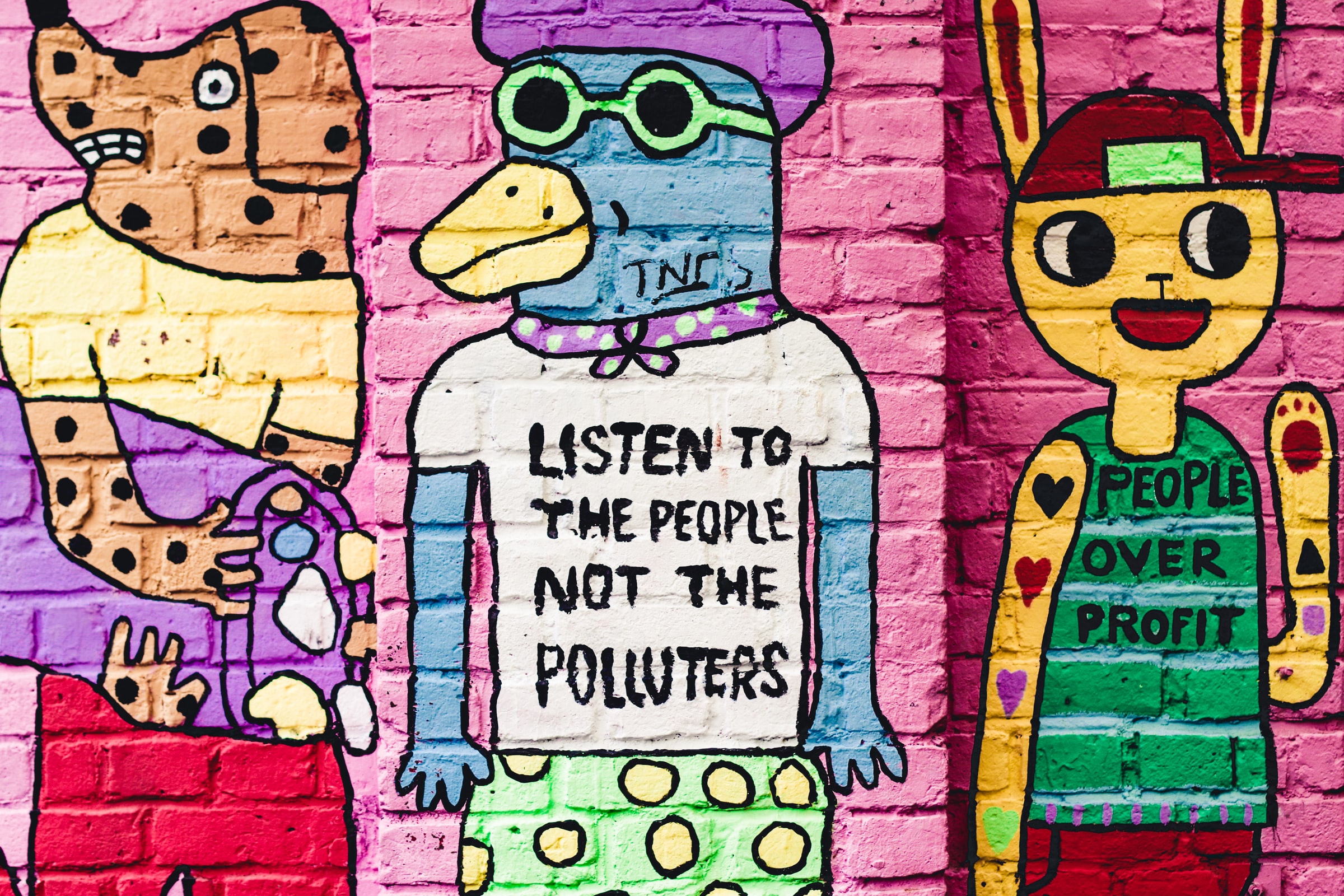 ev tOM8X1NJbQA unsplash